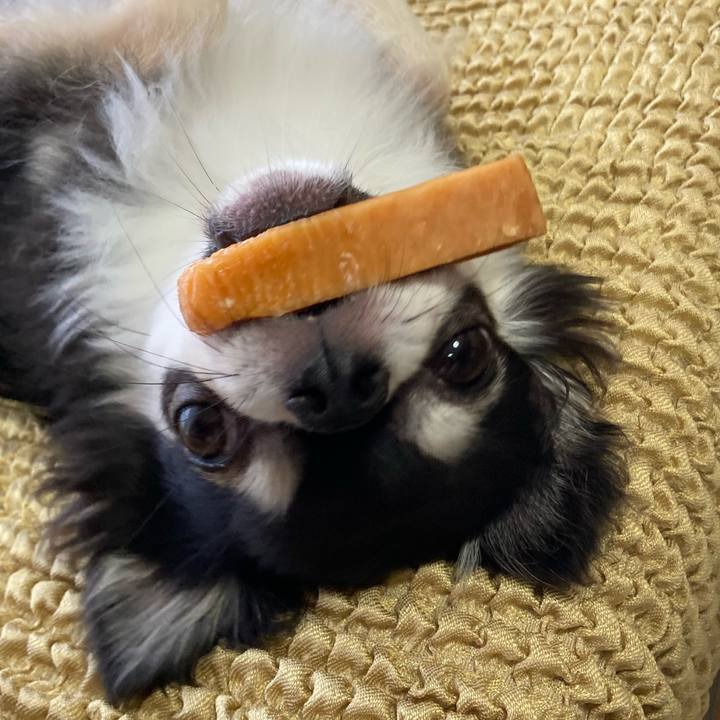 D811fd4c 8a50 4c95 8f4f d601dc290a4f 1657943159021