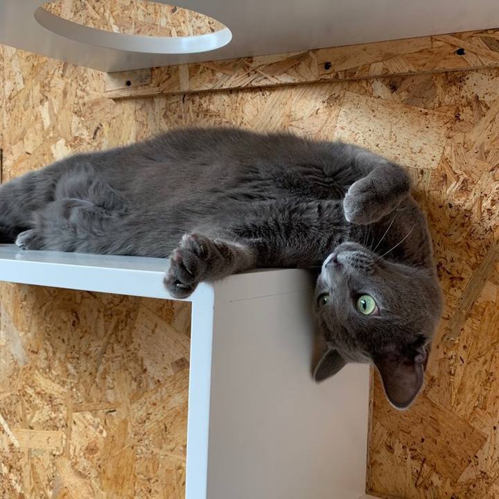 D8121422 cf63 40a2 8164 0091b2db4677 1566984083381