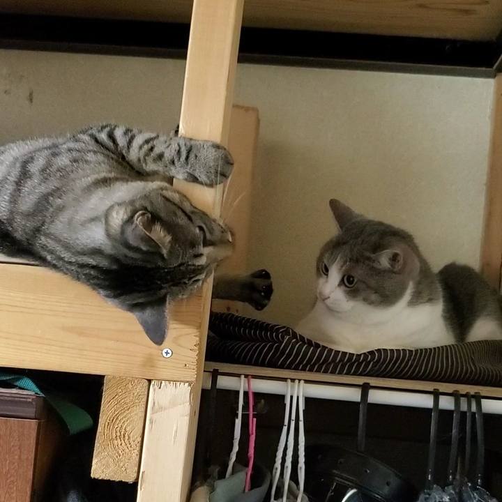 D8122131 97c1 4164 a583 e1a8f17b250e 1694432565258