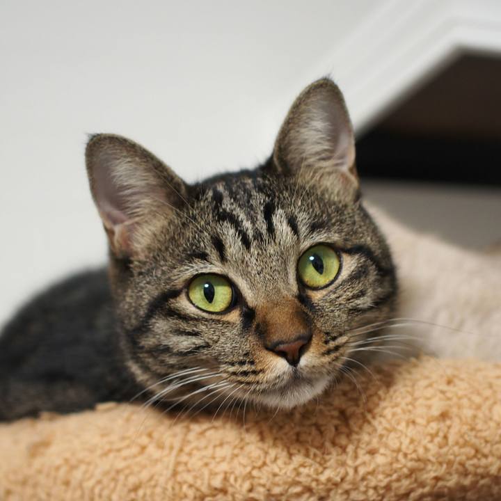 D81239c9 d012 450e b88e e602b686ecf3 1540266074355