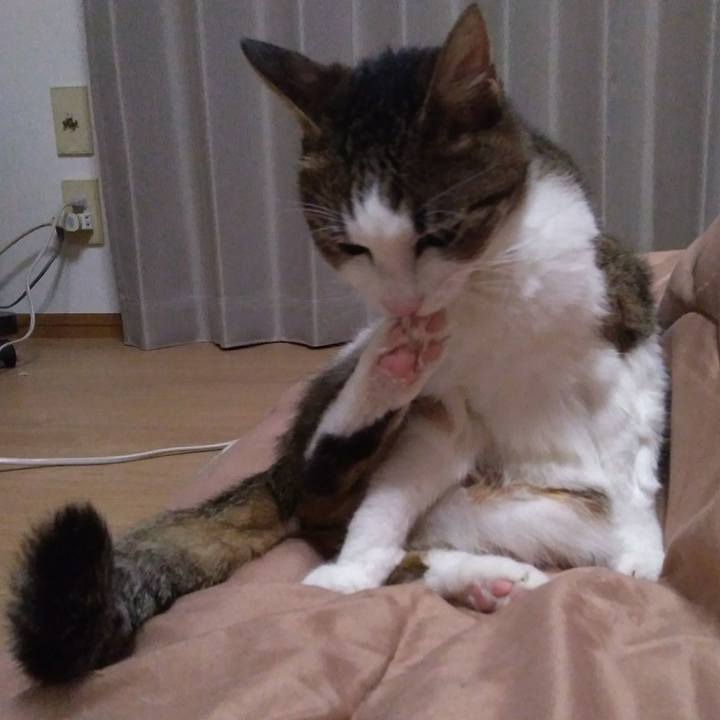 D8125b67 9f9c 45fa 96a4 125faa74cea6 1519993754386