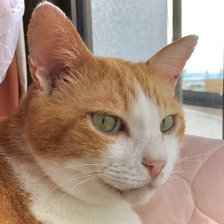 D812714b b977 4e80 8208 636c8e3048cb 1597728145465