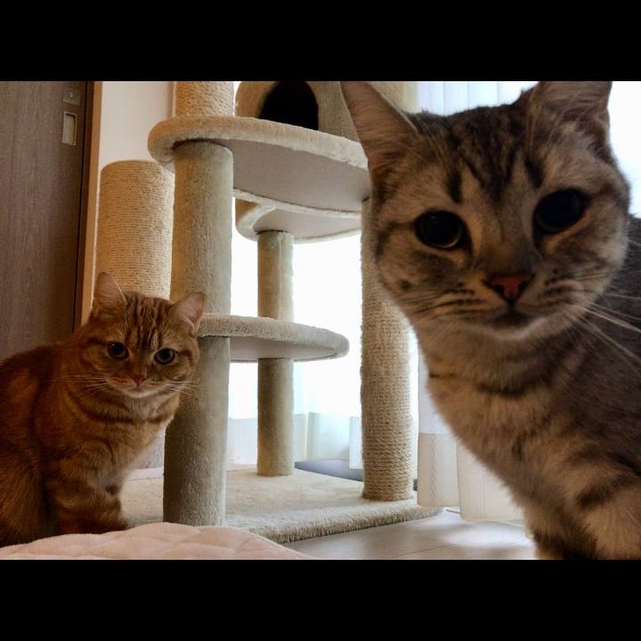 D8128b05 c9d0 4242 978f 588f541203cc 1511302519692