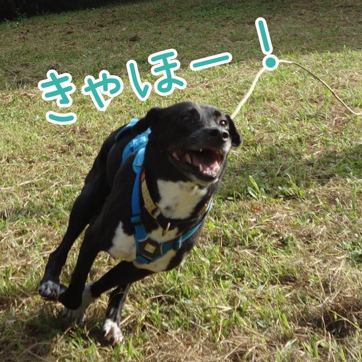 D8129d67 20fd 4f3a b0eb 4bea1ab65393 1632789785585