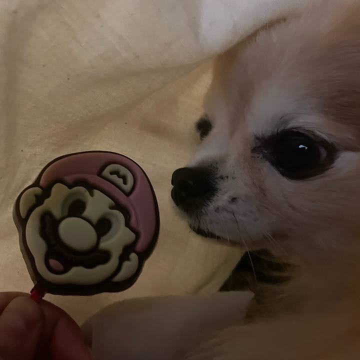 D812abc1 4b3b 4a2f 8154 6cb30a34f466 1708409760538