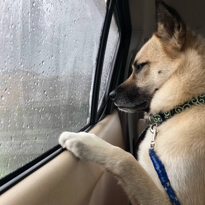 D812e476 de74 4383 ad88 11dfa8d97eb1 1563014566133