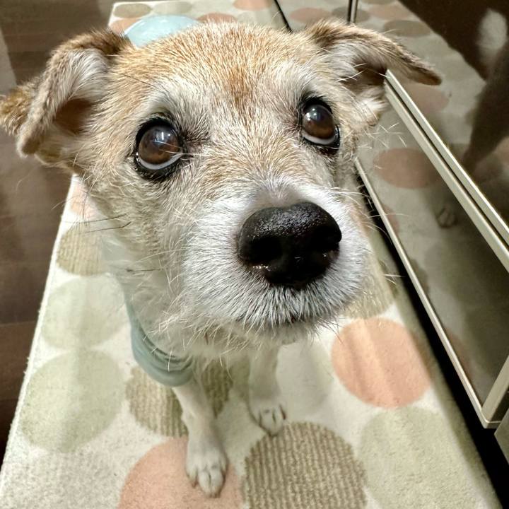 D812e549 499b 4633 a9a6 7c8f09fbc001 1711960590980