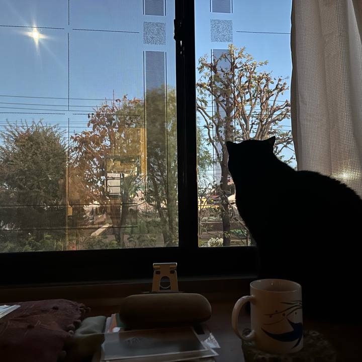 D812f699 574d 4c60 9cd4 8a186e0e3832 1762157503166