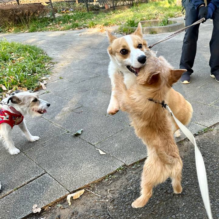 D812f837 af33 420f a9ec bdec136d7b1b 1710599302420