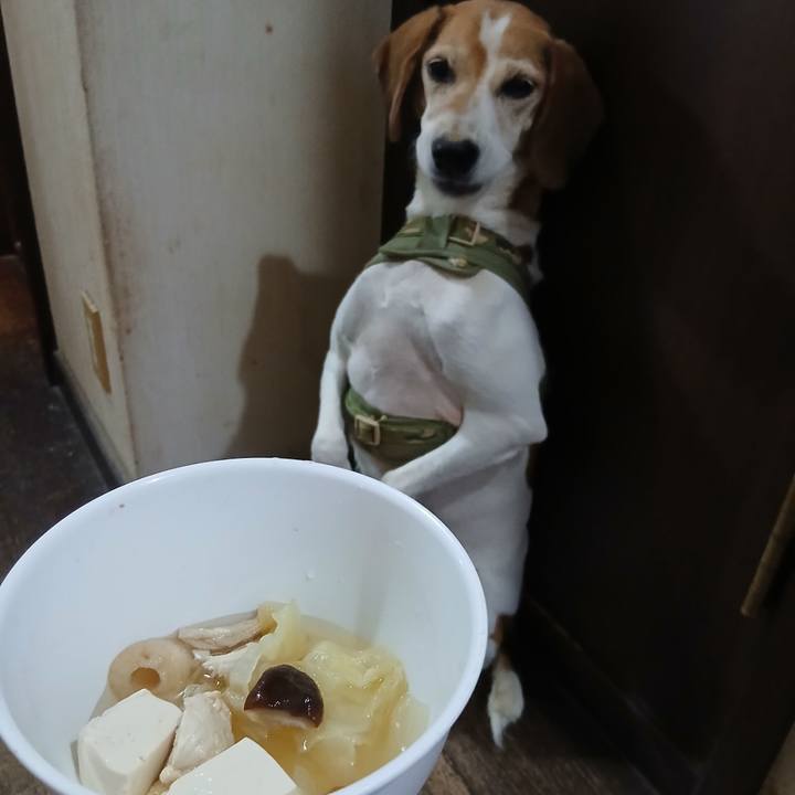 D8130aab 6022 45f6 897a 69c24e954345 1756292156089