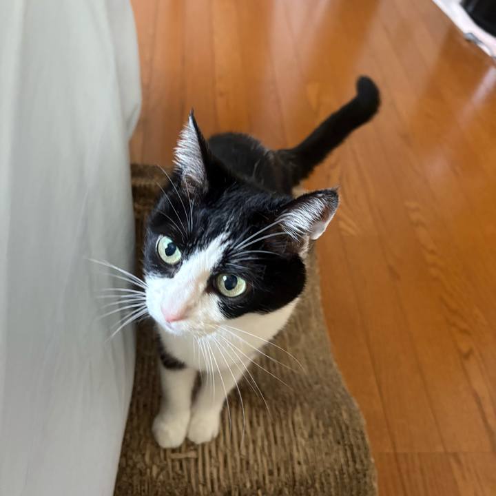 D813371f 7fc1 429c a99e b485ab09841e 1759959391300