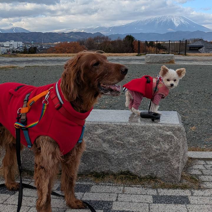 D81367ac ce0d 4130 a9dd 353d7f14d925 1763978422596