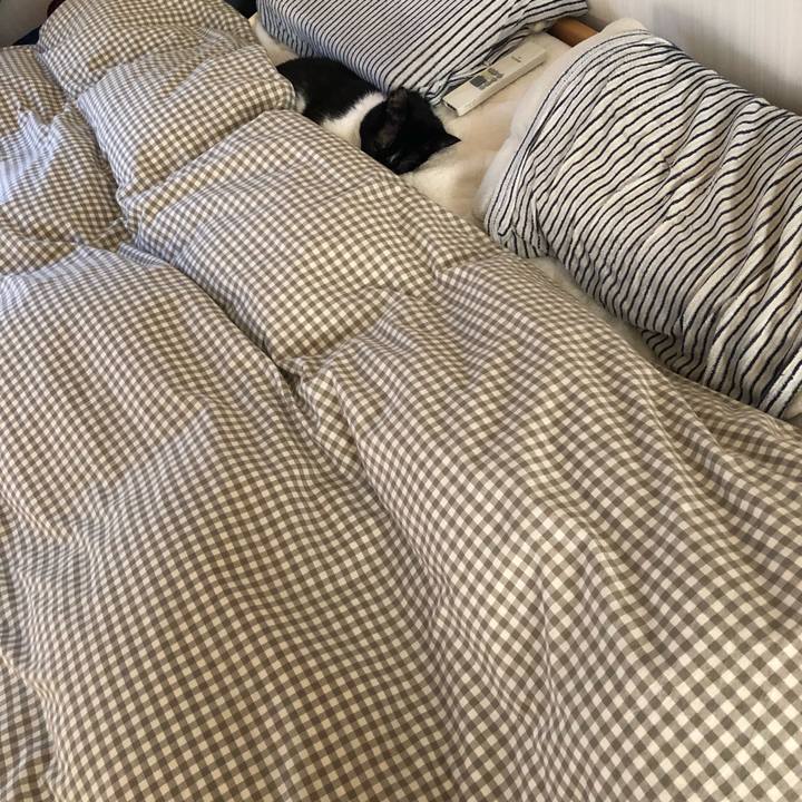 D813774f 435a 427d aad9 379fc2eaac2a 1547173760546