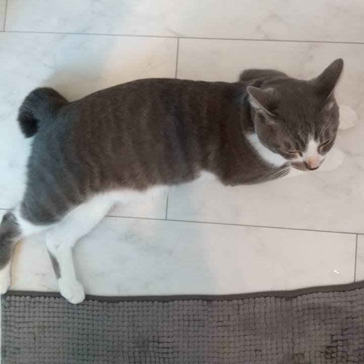 D81396e0 5e54 40ee 8ba0 0cc87a0e382e 1596235885555