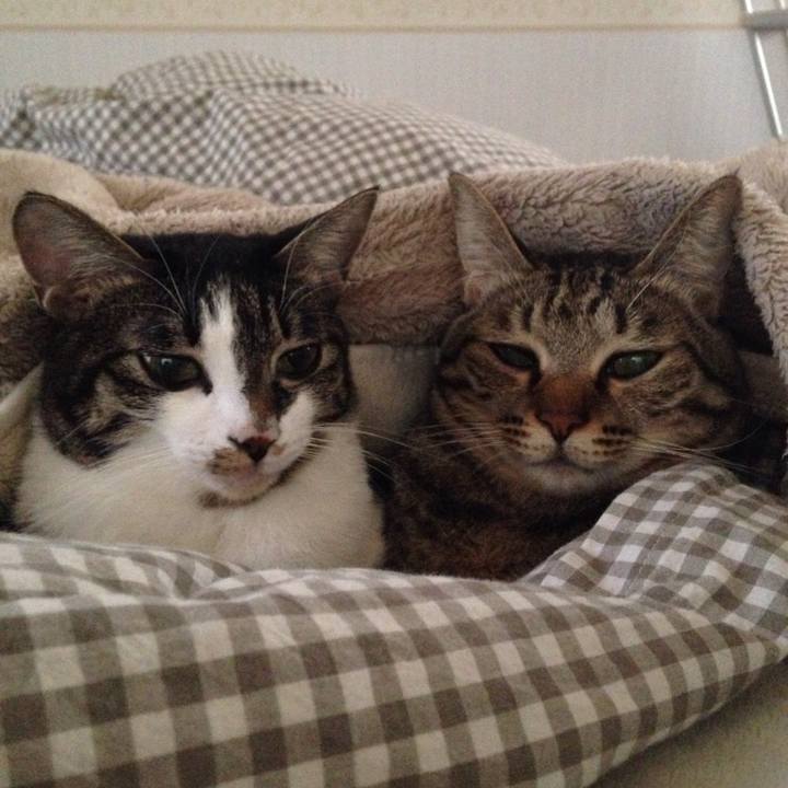 D813984d e69c 451c bf48 165eab155b0f 1510383244484