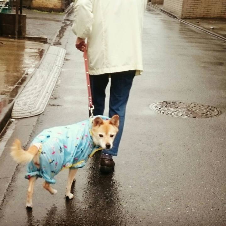 D8139854 bf10 46f8 941a 6e09c30a7a11 1508556629881