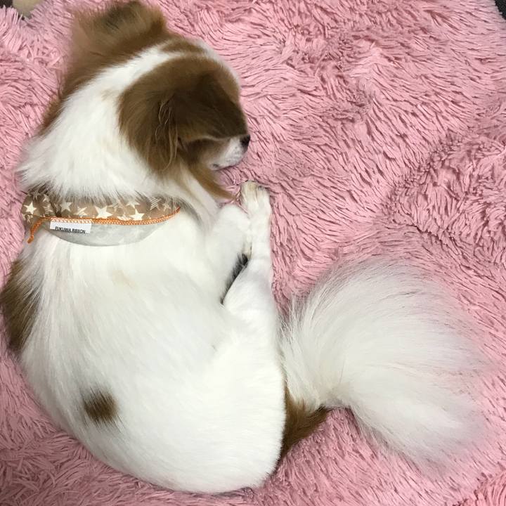 D813b9a0 12fa 4109 919f e0493a680021 1538395075312