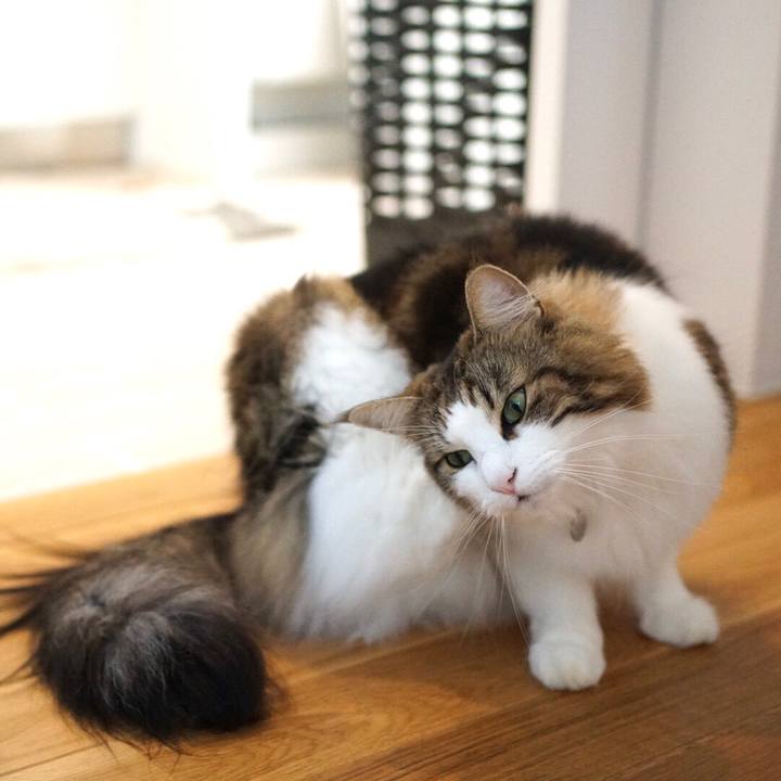 D813dbf3 a829 4d1e ad50 dde3e88ab349 1574130773610