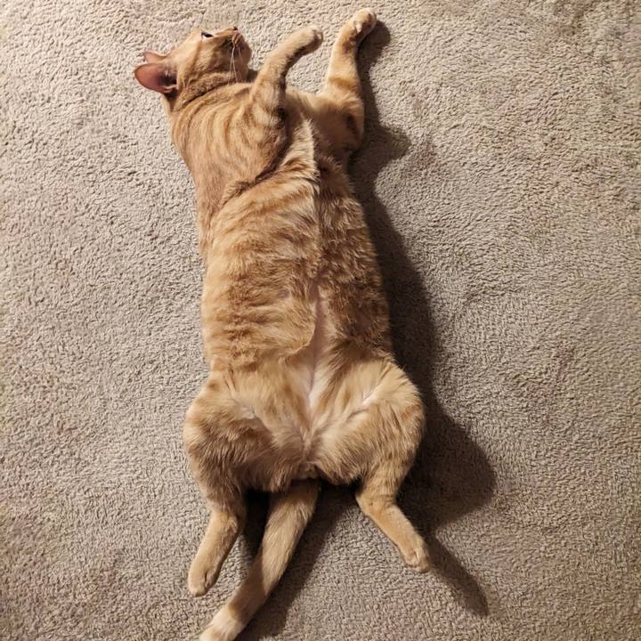 D8140620 a323 4d57 981e 81898639a372 1698324438276