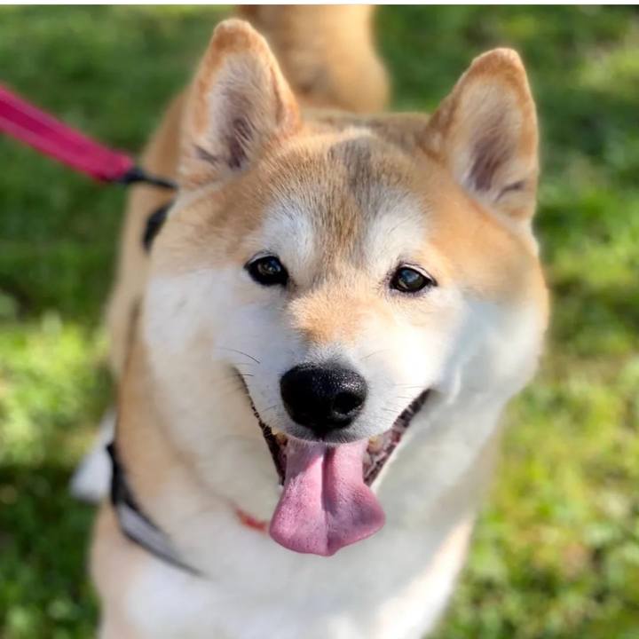 D8141554 ccf4 4850 bc94 6e1eb2fbb171 1705729787103