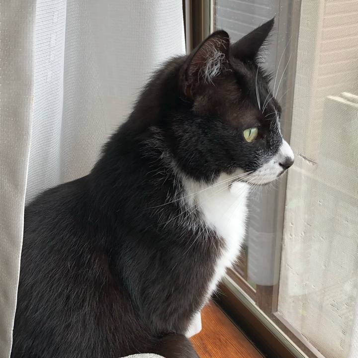 D8142174 56cf 4e20 af14 fdbe19e4855d 1591674300364