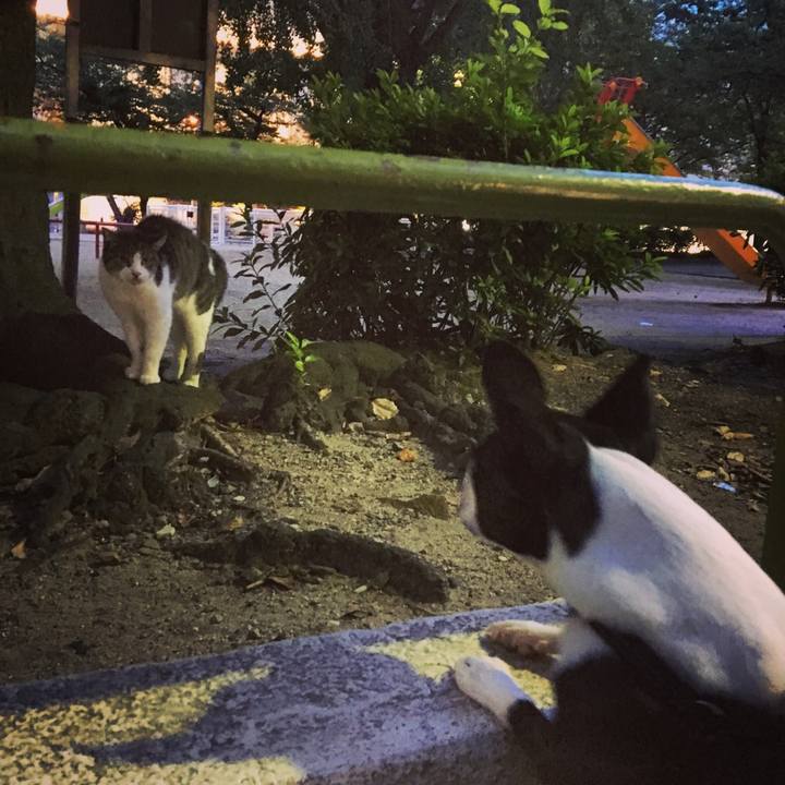 D814249f 9828 4723 97ab 8b95bfdf4d94 1532510820863