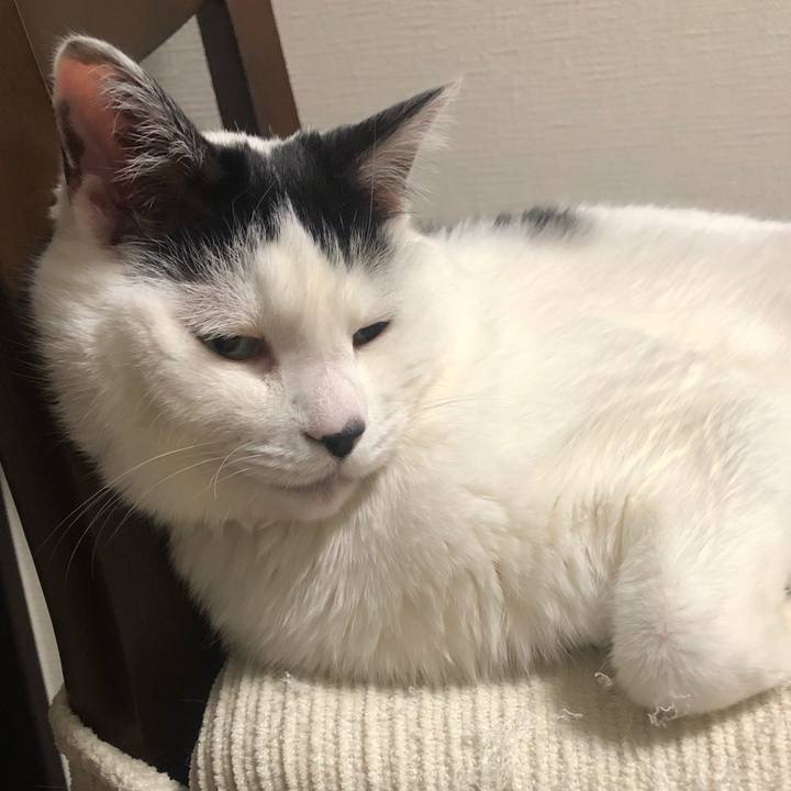 D8144d52 a7b5 4dbe abd2 d653dd1b07f2 1585320524108