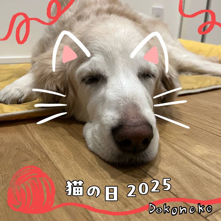 D81487fb e033 41a5 9228 ac64022fd989 1740219961690