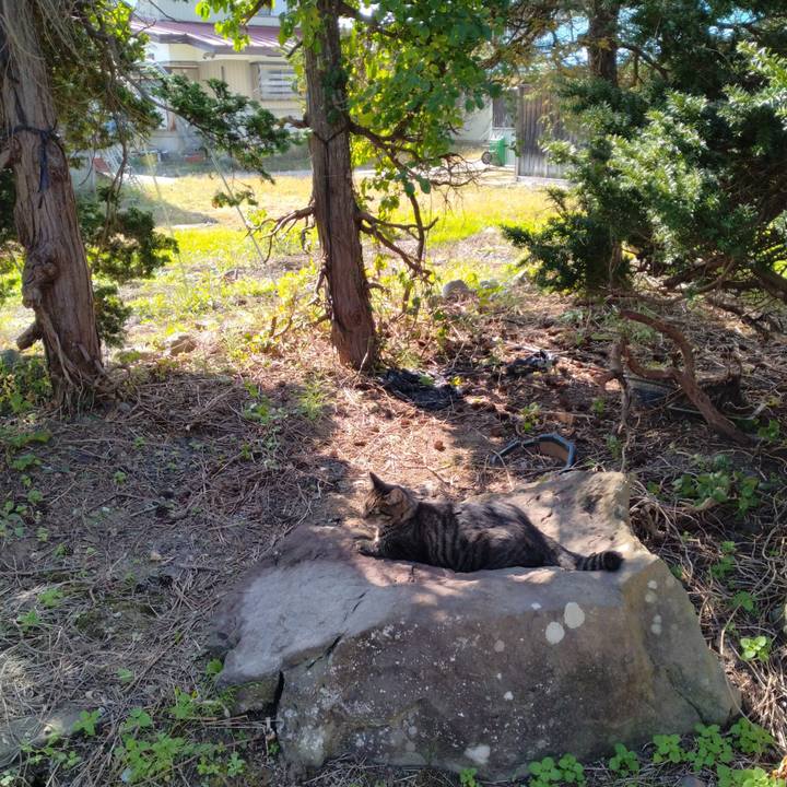 D814beb6 f469 45d4 bf67 dee7733c514c 1665887426417