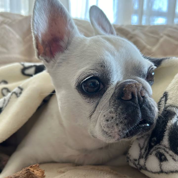 D814d4d8 30cf 4451 872b 6d969396e4f7 1713520433517