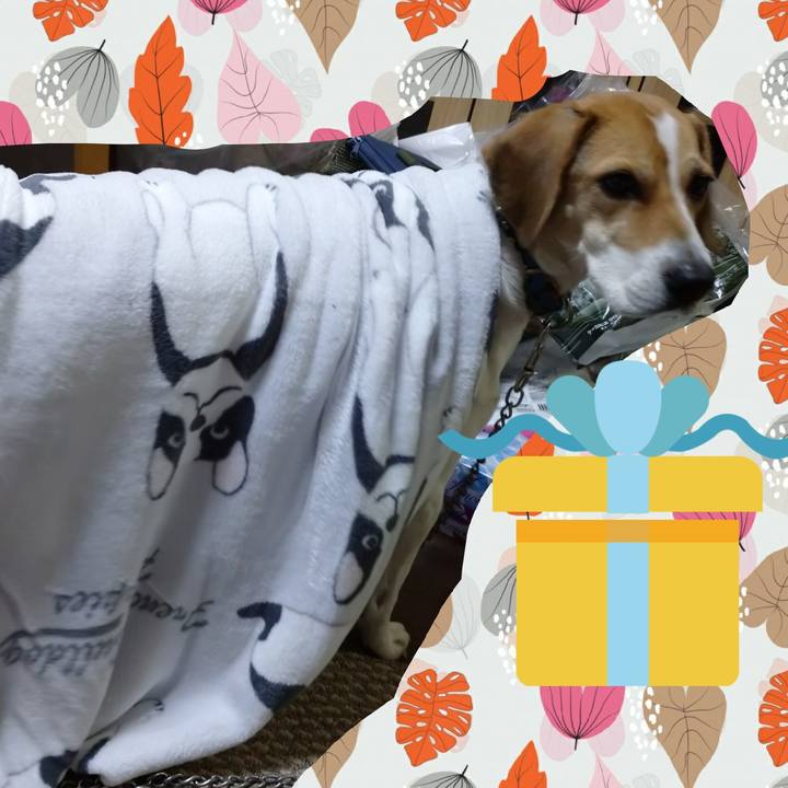 D814db13 ece0 4a78 af6c a709e2fb4a83 1608889271624