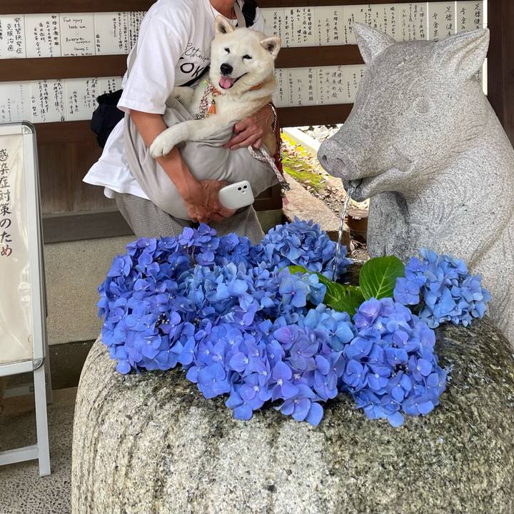 D814de57 6307 4bc2 9250 d37943f19a4f 1687782388672