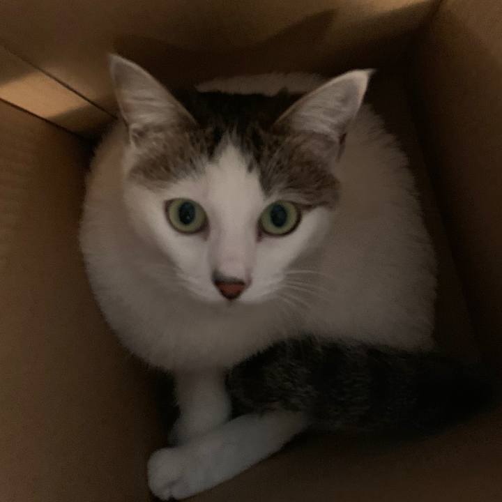 D814fbba 3e2b 440a bdb8 e4b10279a03d 1580519908837