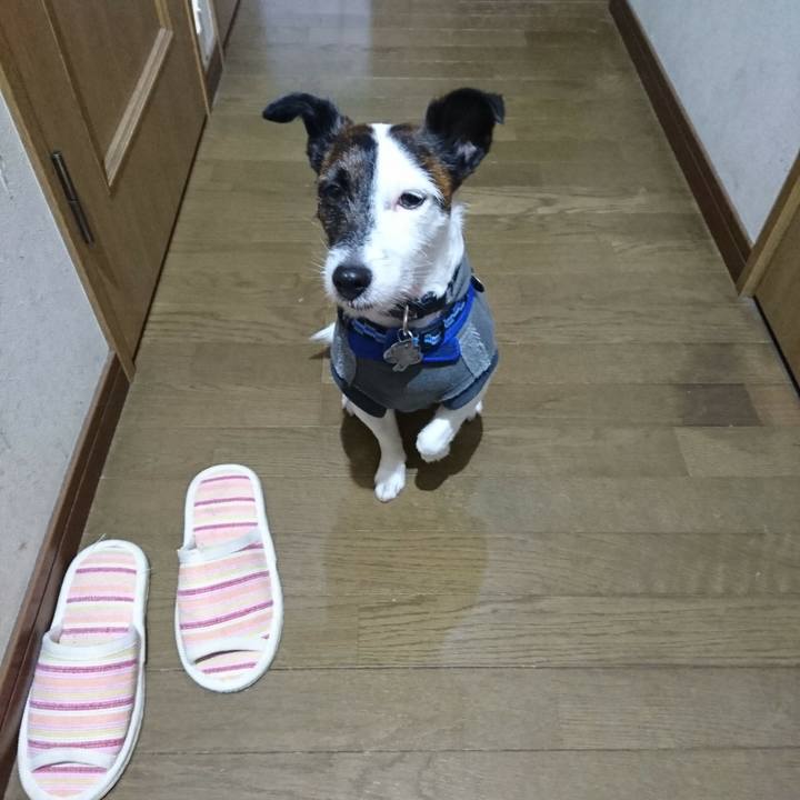 D814fe9f 883b 4470 9a8e de969231ab6e 1513290142530