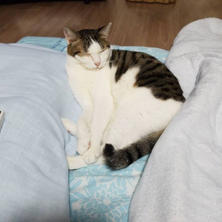 D8151e8e ecf9 46b2 b9d2 6670f70d0b46 1584621898309