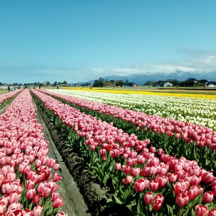 D815229f 3463 4947 80af 5234af3a9727 1618143091007