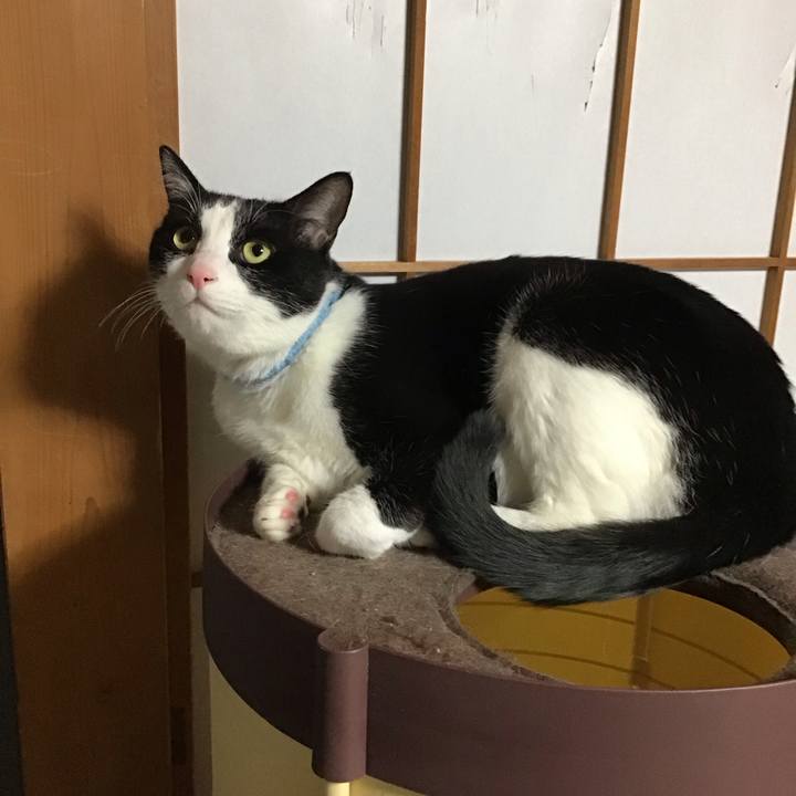 D8152cdf 65c2 4b3a bd7a 4547fc4f85c0 1739958632121