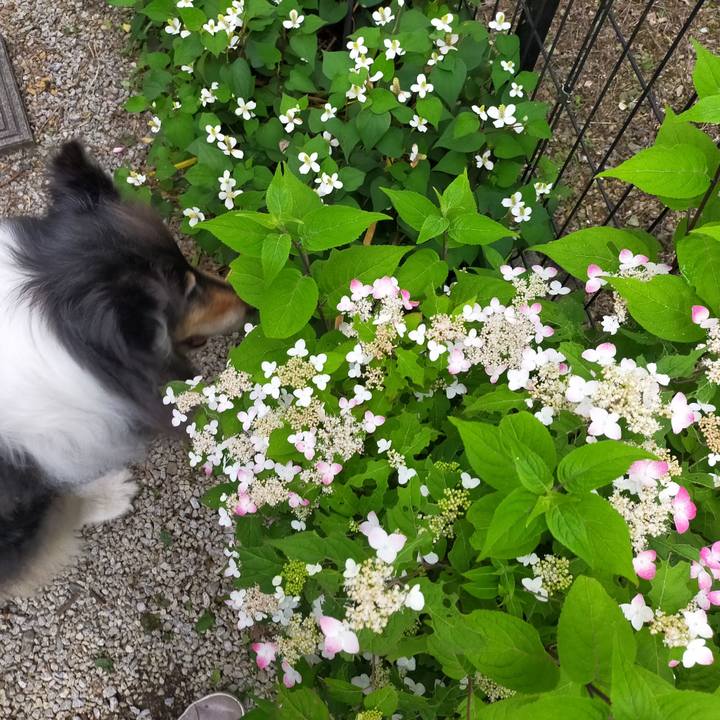 D8157341 ef41 4c0c 9a46 c419593cce45 1623416356632