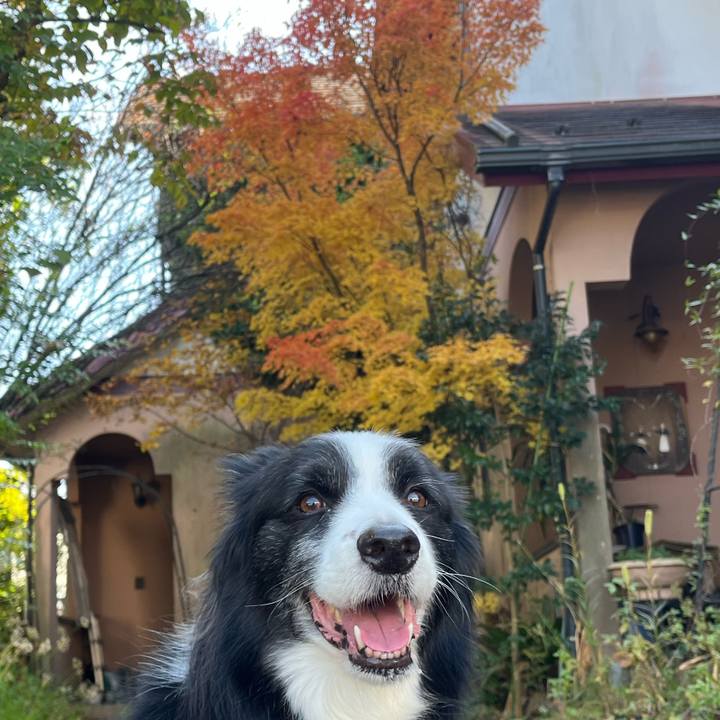 D8159ade 1aa3 49d1 bab3 c49d2365cc80 1762567812381