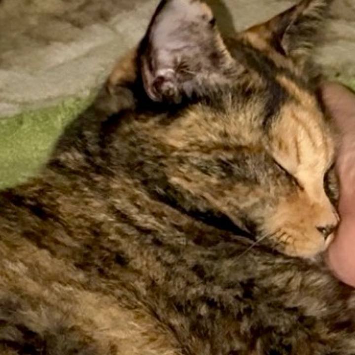 D815a990 23ca 4c5f adc4 98e60ff9272e 1759870685305