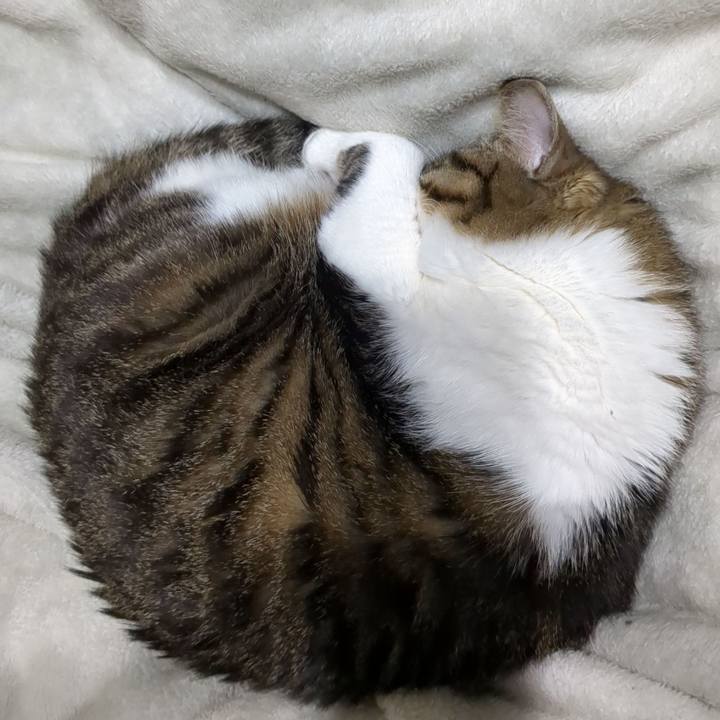 D815b01d f580 438f b2f1 32ce6b9c70a1 1674377254780