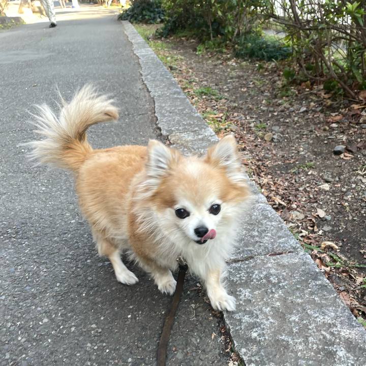 D815b5d6 453d 4260 b0b3 ee7878eccaca 1771498572625