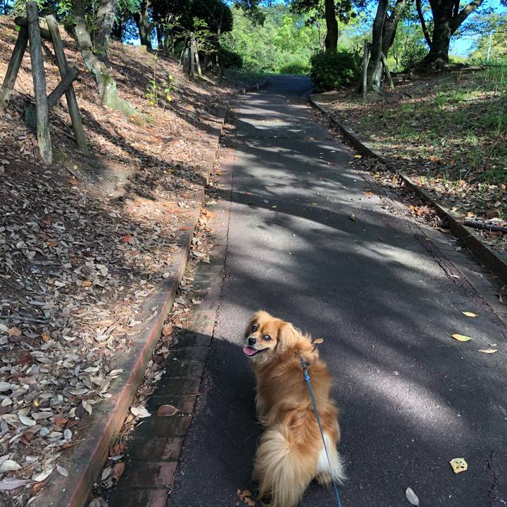 D815b847 cdcc 43d8 9d46 bd2754205250 1567900395957