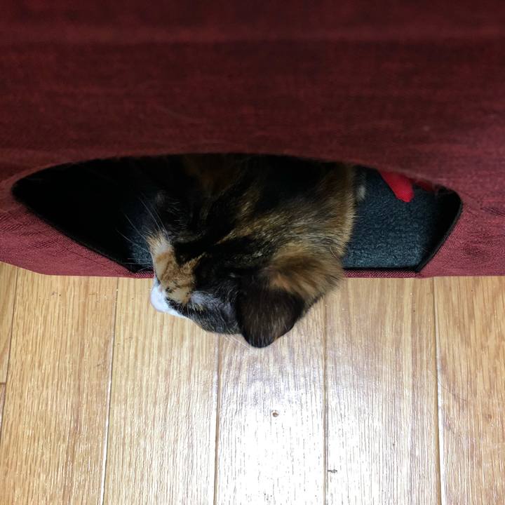 D815c627 f29d 4ef9 bc36 a7e7ae91a810 1560845707119