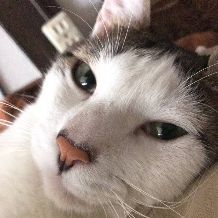 D816030c 1c64 444b b77b 15113456cd66 1535772491941