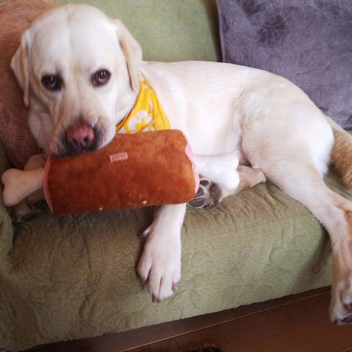 D816441f 7747 4c9d 867c bfa08134ebf7 1548996503590