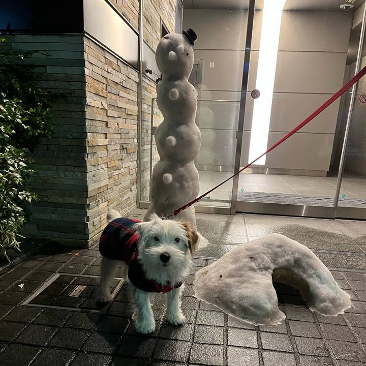 D8166788 0562 4735 bcbc d4a43daa6ace 1707232474264