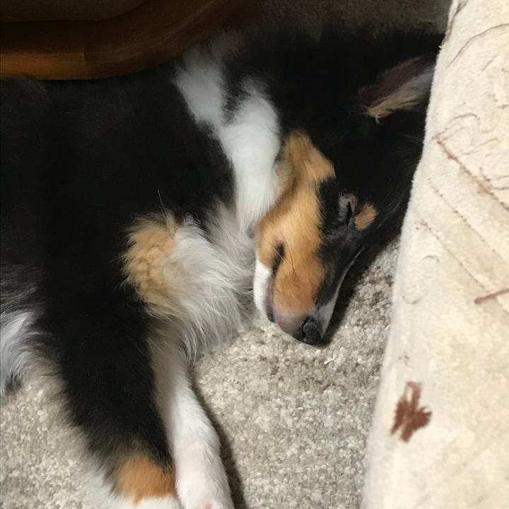 D8166a1f 1a2c 4dfd bb58 7237738e5bed 1515882761736