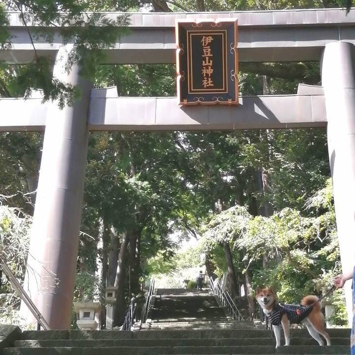 D8168114 99a9 4e3e 9409 d44b5dd9e1ee 1663761376017