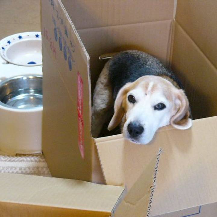 D816a46c 291a 4409 a498 d91bf2427a39 1685322640704